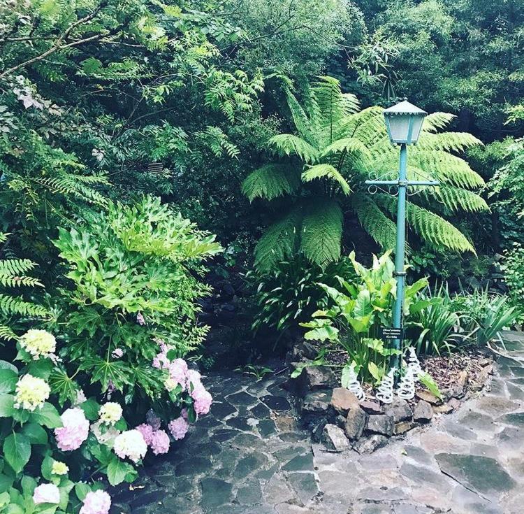 Aldgate Valley Bed And Breakfast エクステリア 写真