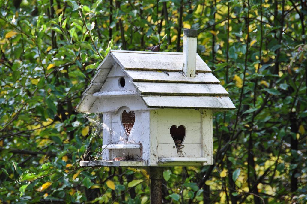 Aldgate Valley Bed And Breakfast エクステリア 写真