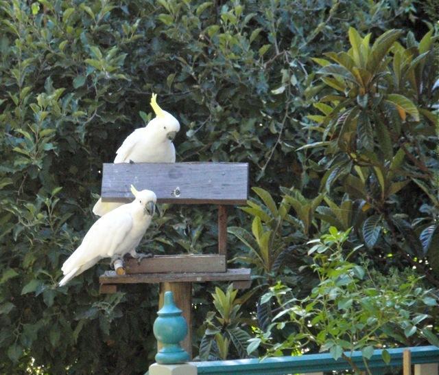 Aldgate Valley Bed And Breakfast エクステリア 写真